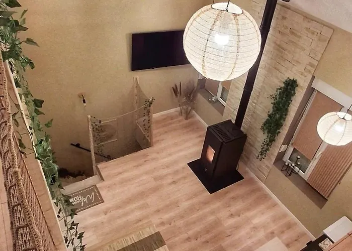 Le Bois Dormant Berlaimont